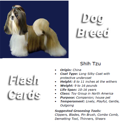 Dog Breed Flashcard Collage