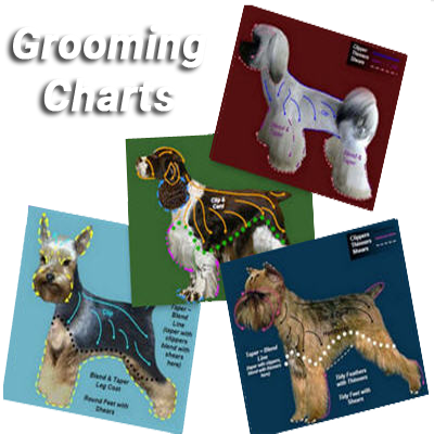 dog grooming chart collage